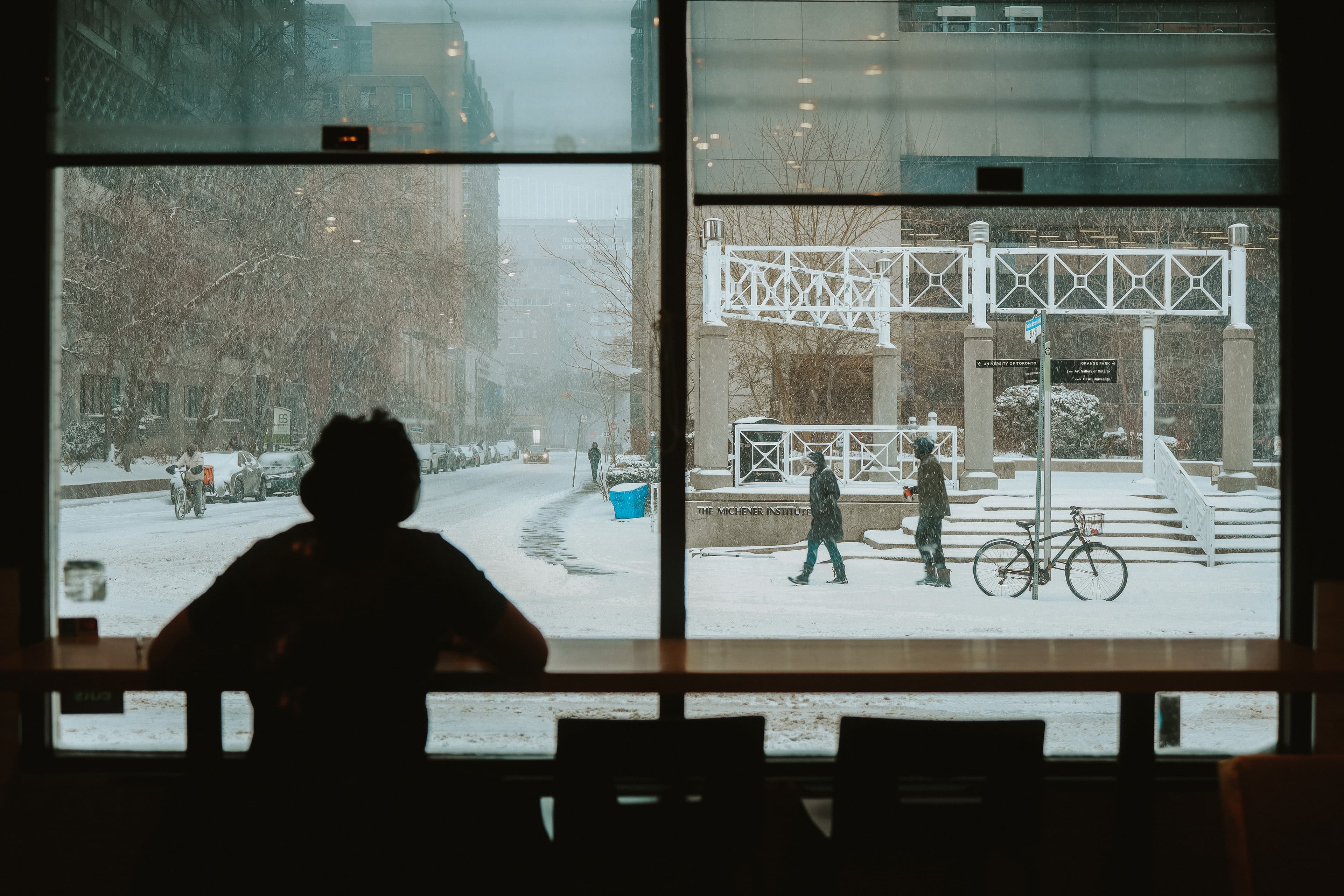 Window shopper